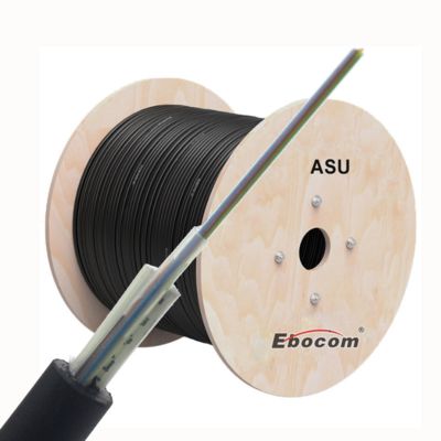 ASU Kablosu Tek Mod G652D 80m Span 12 Core Fiber Optic Kablosu